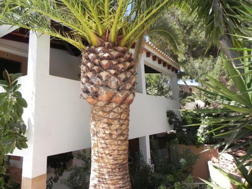 Apartamento Viviendas Tur�sticas Vacacionales Allida