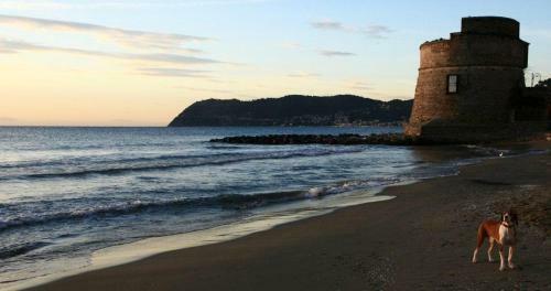 Hotel Badano Sul Mare