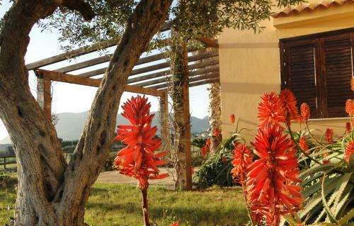 Agroturismo Il Giardino Delle Aloe