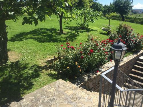 Bed & Breakfast Ca D Gnese Di Stella Angelo