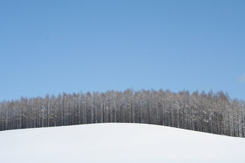 Kasara Niseko Village Townhouse