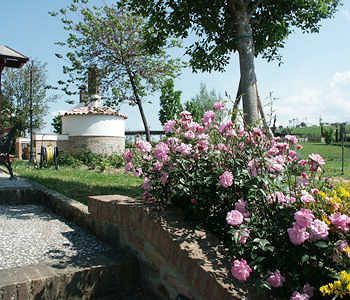 Hotel Locanda Le  Boscarecce