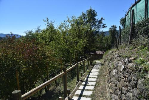 Bed & Breakfast Villa Belvedere