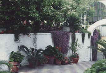 Hotel Tirreno Residence