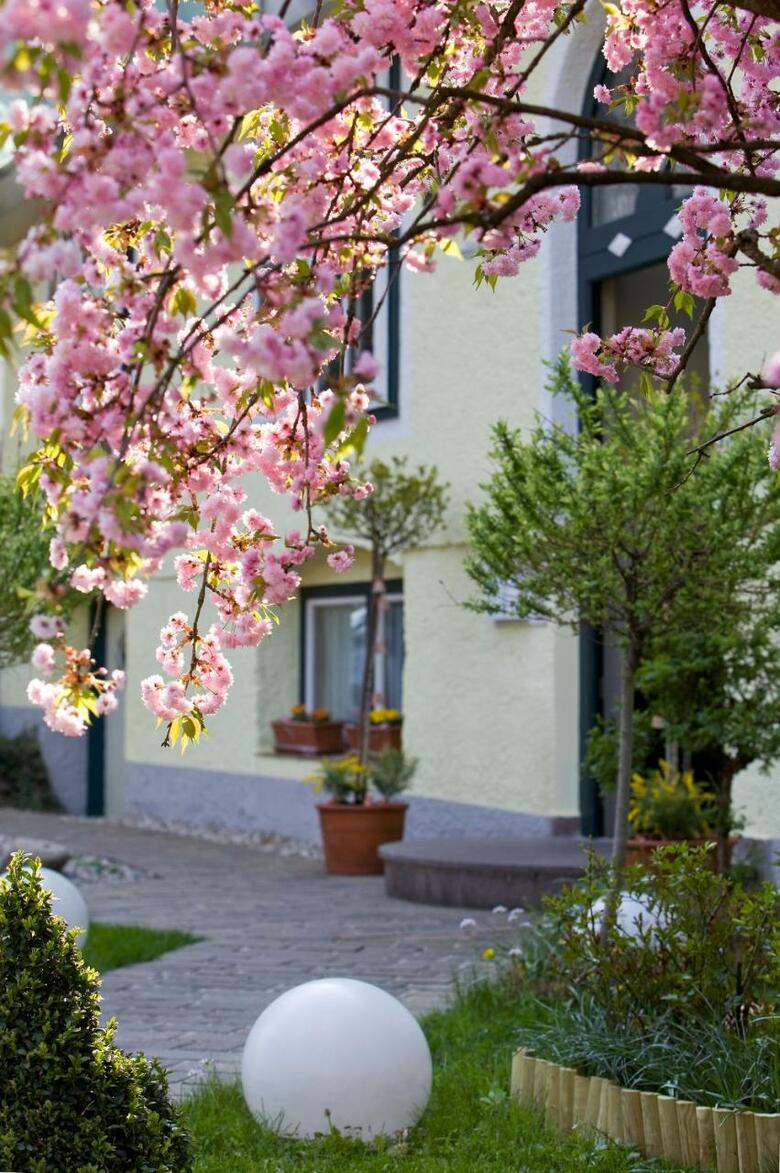 Hotel Rosenvilla