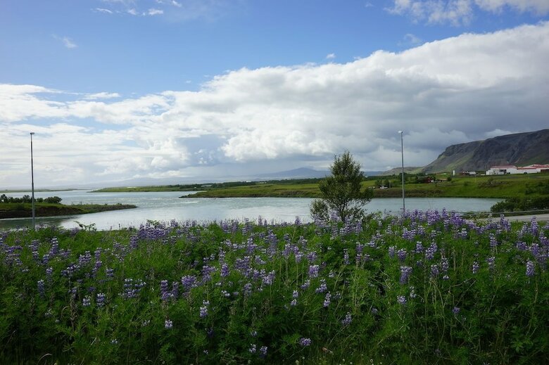 Gesthus Selfoss