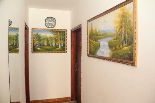 Apartamentos Guest House Viviana