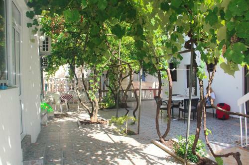 Apartamentos Guest House Viviana
