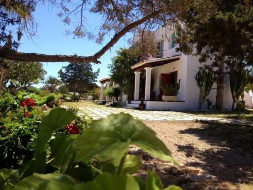 Apartamentos Boutique Formentera