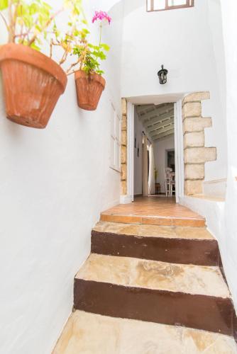 Apartamento Casa Bodega Triana