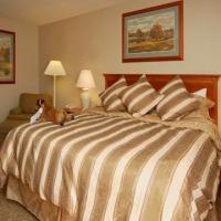 Hotel Comfort Inn At Buffalo Bill Village