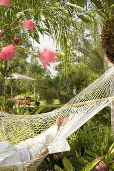 Hotel Hilton Orlando Lake Buena Vista