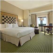 Hotel Hilton Orlando Lake Buena Vista