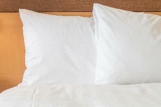 Hotel Holiday Inn West Yellowstone