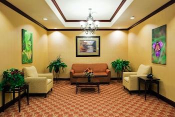 Holiday Inn Express Hotel And Suites Athens