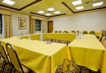 Holiday Inn Express Hotel & Suites Levelland