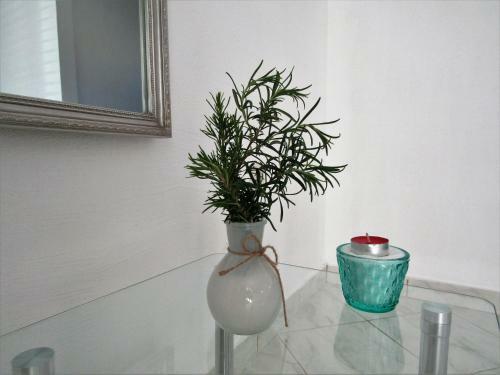 Apartments Ana