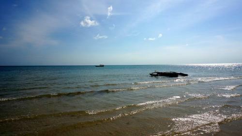 Hotel Mangrove Lodge
