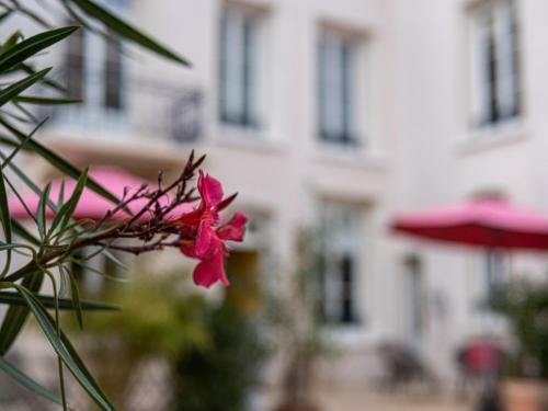 Bed & Breakfast Clos Saint Martin