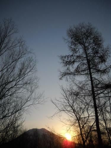 Lodge Niseko Shirokuma Cottage
