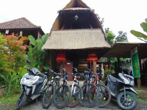 Bed & Breakfast Amartya Puri Green Cottages