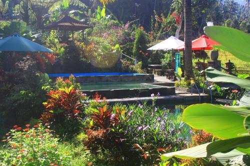 Bed & Breakfast Amartya Puri Green Cottages