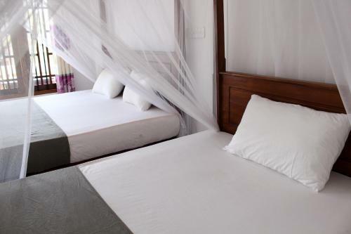 Hostal Orchid Rest