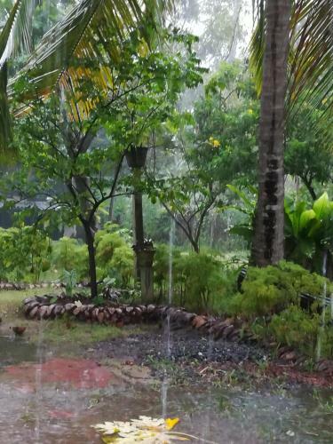 Grand Traverse Homestay