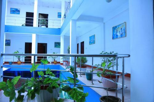 Nelly Star Hotel