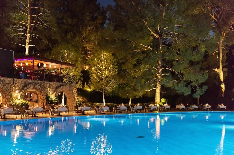Hotel Montana Pine