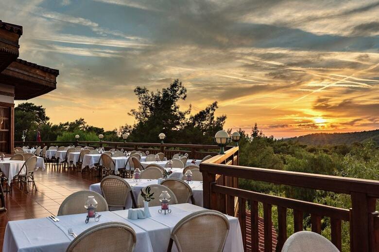 Hotel Montana Pine