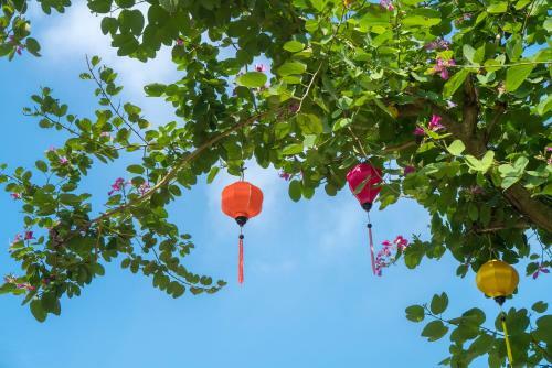Hoi An Luna Villa Homestay