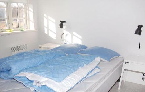 Five-bedroom Holiday Home R�m� With Sea View 09