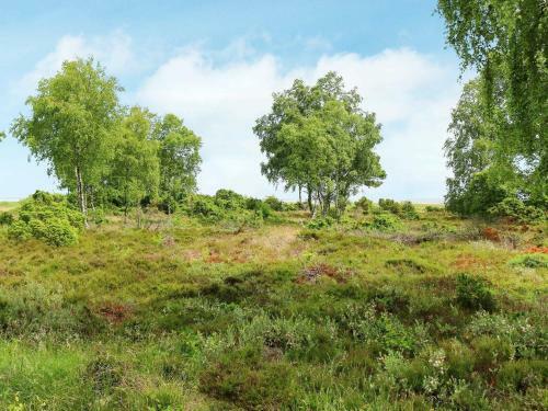Three-bedroom Holiday Home In Hadsund 43