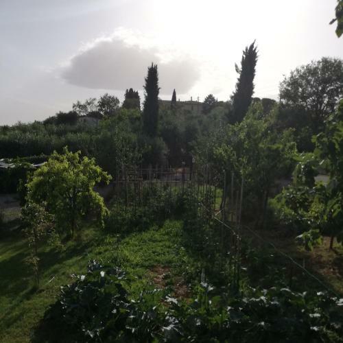 B&B La Casa Di Assunta