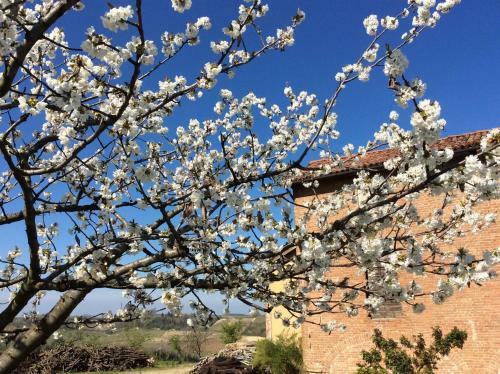 Bed & Breakfast Cascina Valtignosa Camere Con Vigna