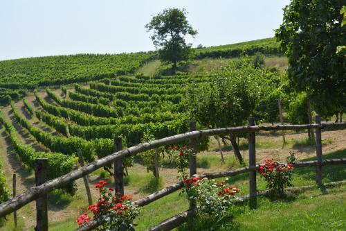 Bed & Breakfast Cascina Valtignosa Camere Con Vigna