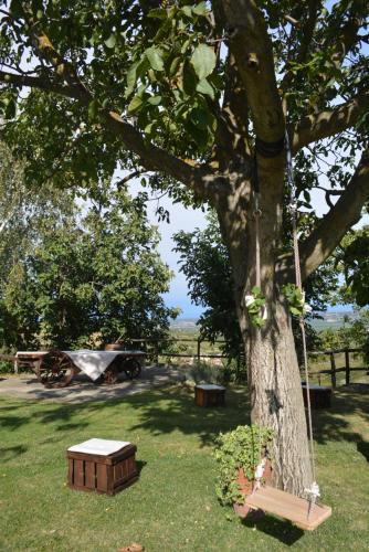 Bed & Breakfast Cascina Valtignosa Camere Con Vigna