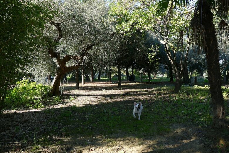 Agroturismo L'antico Casale Di Wendy