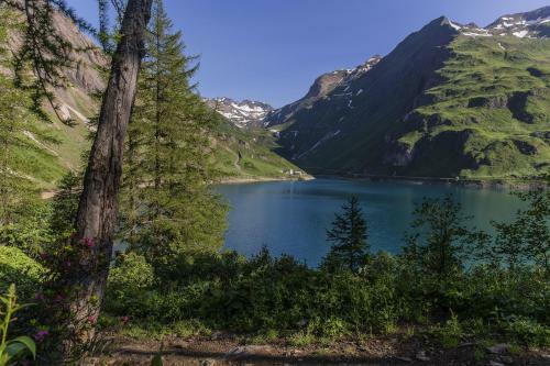 Hotel Albergo Rotenthal