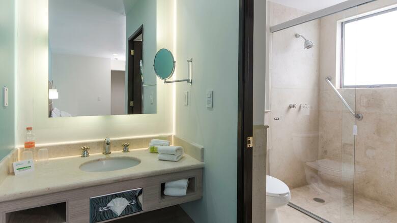 Holiday Inn Hotel & Suites Zona Rosa