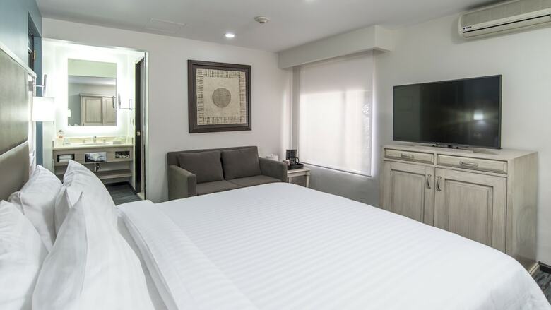 Holiday Inn Hotel & Suites Zona Rosa