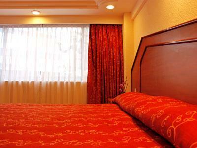 Hotel Premier