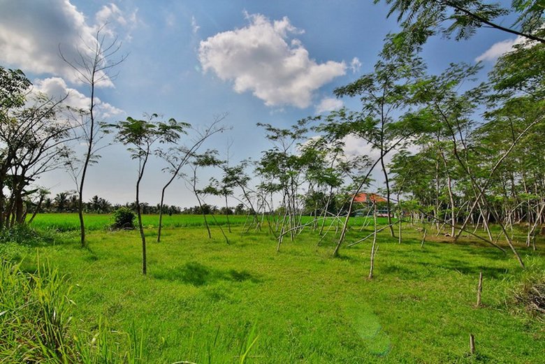 Hotel Taman Harum