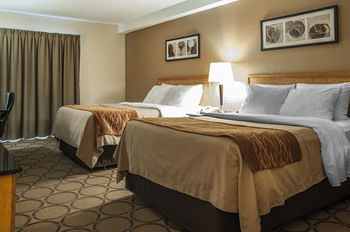 Hotel Comfort Inn
