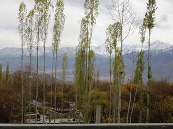 Hotel Rahela Guest House & Home Stay