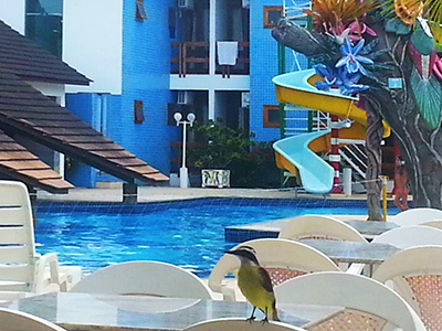 Hotel Brisa Da Praia