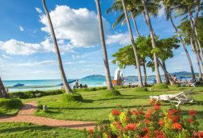Hotel Tamarindo Diria Beach And Golf Resort(hdo)