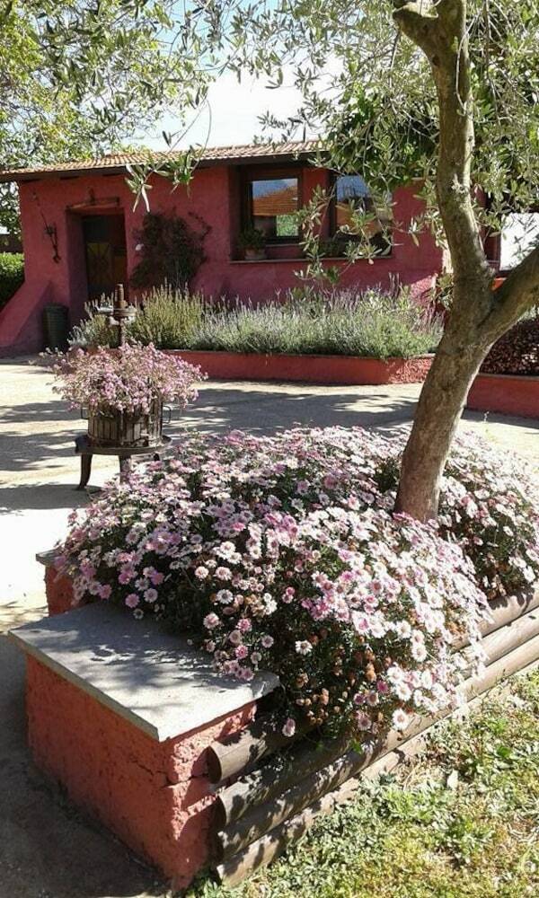 Bed & Breakfast Il Baffetto