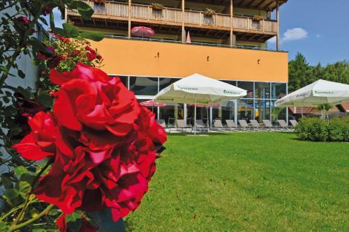 Hotel Angerer-hof
